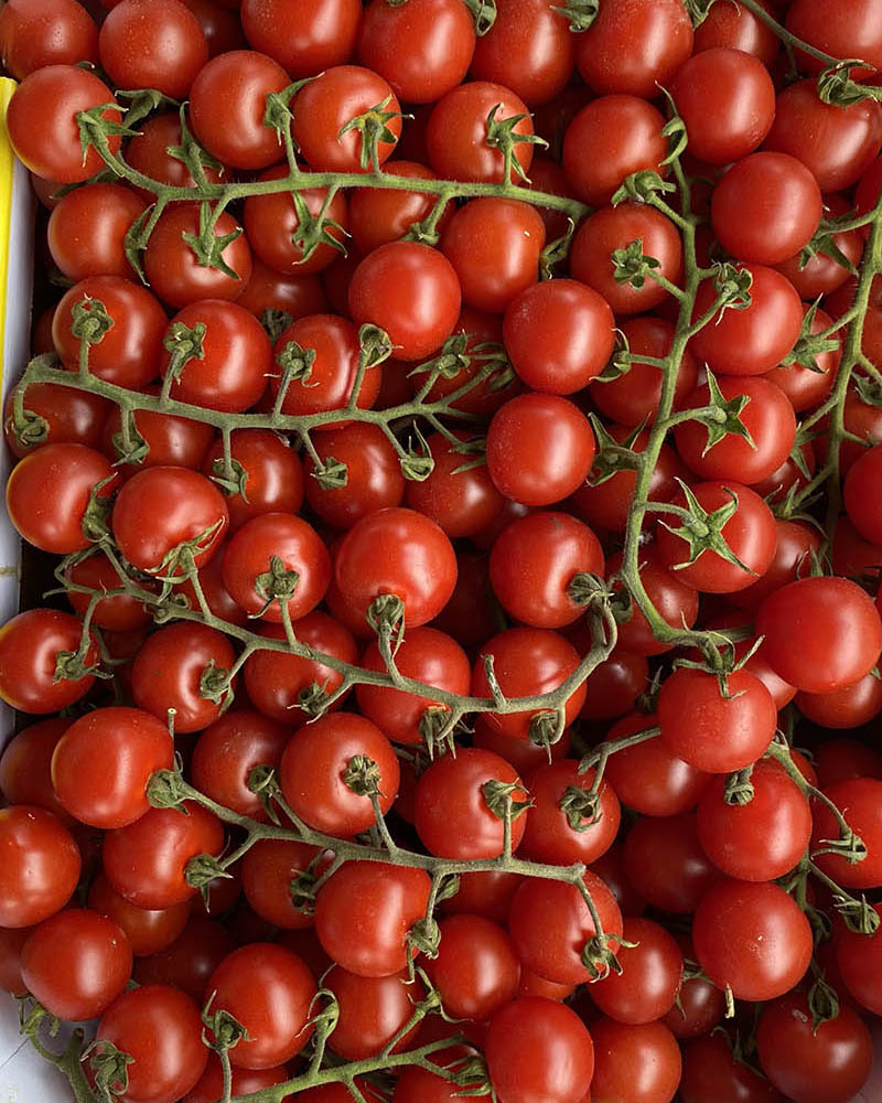 Story-GastroPepper-Tomaten